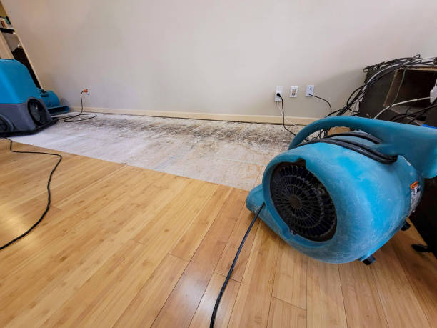 Professional Basement Flood Cleanup technician working in South Hadley, MA